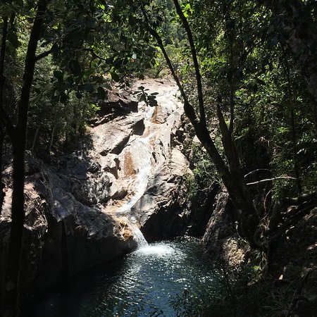 Pinevale QLD Australia Shopping