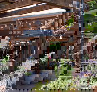 Zeus Street Greek - Accommodation Australia