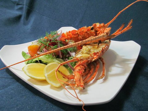 Bushland Beach Tavern - Australia Shopping 4