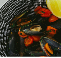 The Italian Diner - Australia Shopping