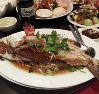 Shark Fin Inn - Accommodation Australia