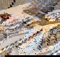 Cafe Uccello - Local Tourism