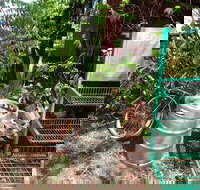 Larrimah Pink Panther Hotel - Australia Shopping