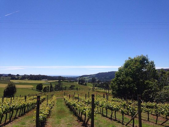 Barrington TAS Accommodation Australia