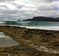 Bruny Island Berry Farm - Accommodation Australia