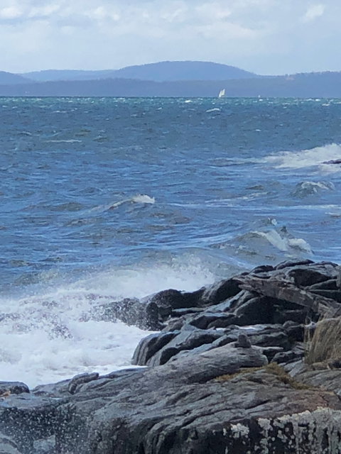 Get Shucked Oyster - Local Tourism 2