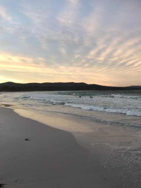 Lichen Restaurant And Cafe - Local Tourism 1