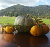 Mount Gnomon Farm - Accommodation Australia