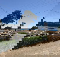 Penguin  Pardalote Coffee House - Accommodation Australia