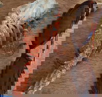 Seafood Nation - Accommodation Australia