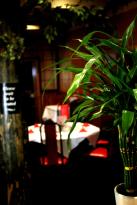 China City Garden Restaurant - Accommodation Australia 1