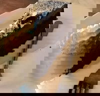 Dome - Accommodation Australia