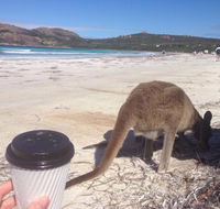 Lucky Bean - Local Tourism