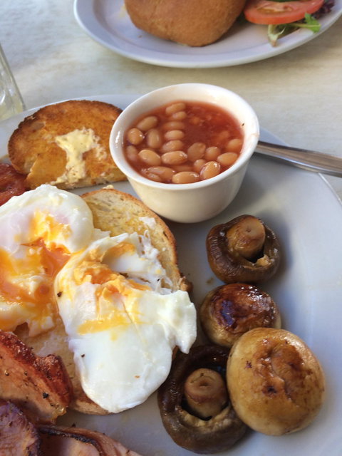 A Patch Of Country - Accommodation Australia 3