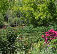 Berry Delightful - Local Tourism