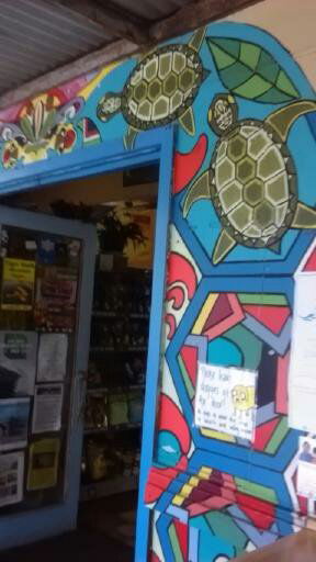 Cave's Park Store - Accommodation Australia 4