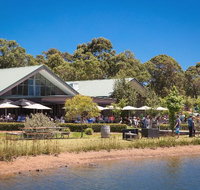 Cheeky Monkey Brewery and Cidery - Local Tourism