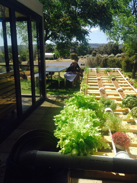 Petra Olive Oil Shed Door Tasting Room & Farm Shop - Accommodation Australia 1