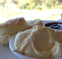 Tanglefoot Winery Cafe - Accommodation Australia