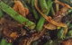 Yue Chinese Restaurant - thumb 7
