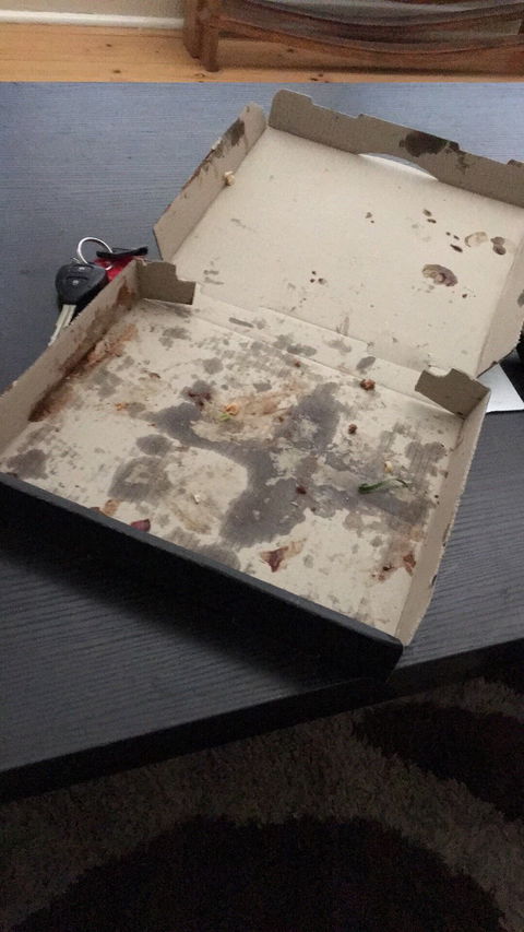 Domino's Pizza Plympton - Accommodation Australia 2