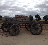 Emu Bay Lavender - Local Tourism