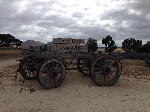 Emu Bay Lavender - Accommodation Australia 0