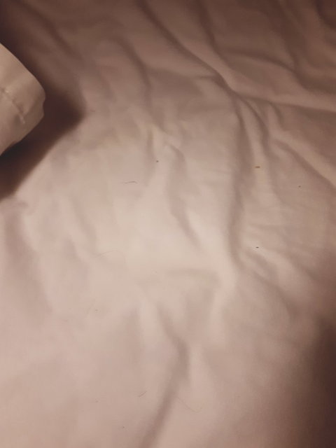 McCracken Country Club Restaurant - Local Tourism 10