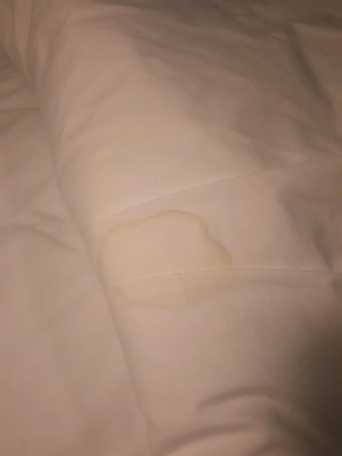 McCracken Country Club Restaurant - Local Tourism 11