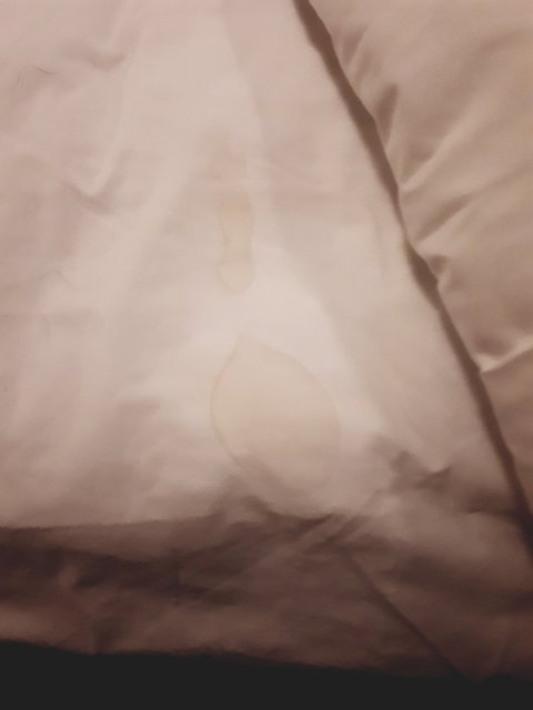 McCracken Country Club Restaurant - Local Tourism 12