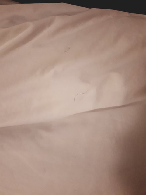 McCracken Country Club Restaurant - Local Tourism 1