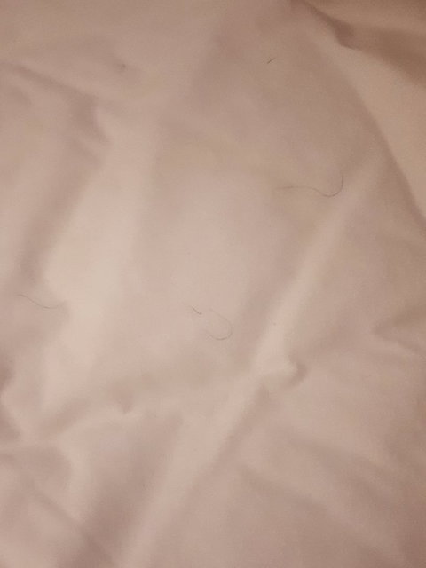 McCracken Country Club Restaurant - Local Tourism 2