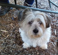 Cinnamon Grove - Accommodation Australia