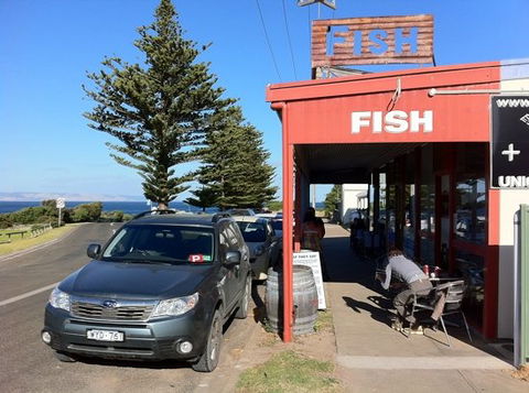 Fish - Accommodation Australia 0