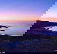 Howling Dog Tavern - Local Tourism