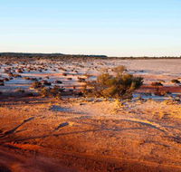 Mozie's Truckstop  Diner - Accommodation Australia