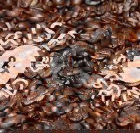 Qahwa Espresso Bar and Coffee Roasters - Local Tourism