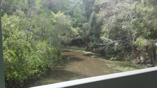 Gladstone SA Local Tourism