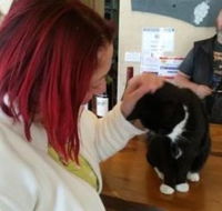 Stone Bridge Wines - Accommodation Australia