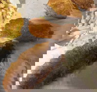 Highland Seafood - Local Tourism