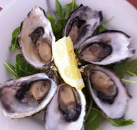 Noosa Yacht and Rowing Club - Accommodation Australia
