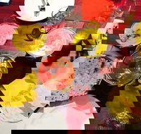 Gatton Indian Restaurant - Australia Shopping