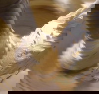 Gelato Classico Noosa Italian Cafe - Local Tourism