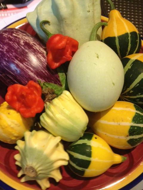 Harry's Cafe - Australia Shopping 1