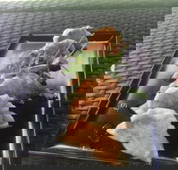 Three Black Sheep Cafe - Australia Shopping