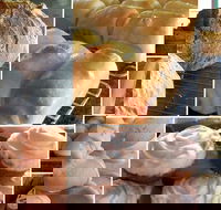 Elegant Emu - Accommodation Australia