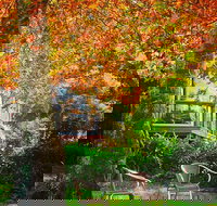 The Woods Ravensbourne - Local Tourism