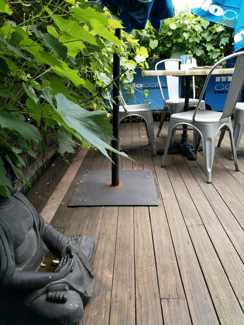 Willow Tree Cafe - Accommodation Australia 1