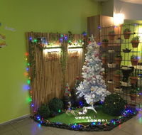 Onggi jonggi - Accommodation Australia