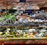 Bear  Bean - Accommodation Australia